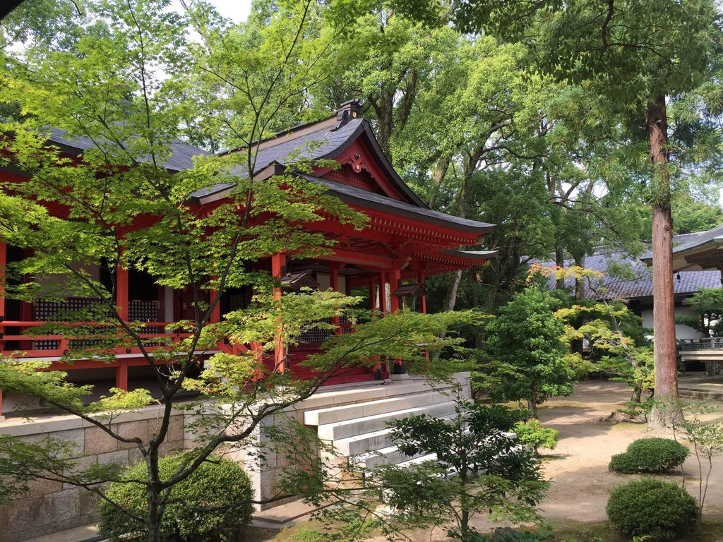 京都大觉寺                                