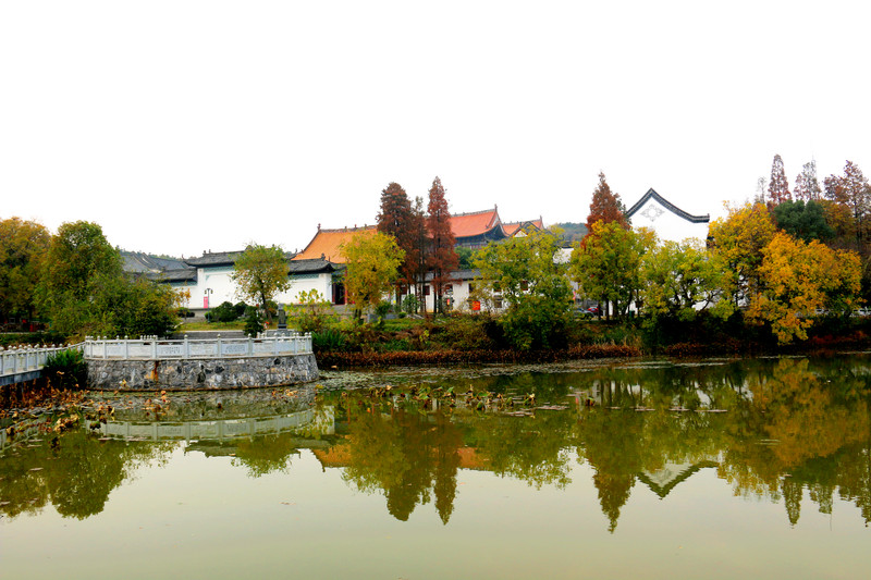 灵气盈溢的武汉景德寺