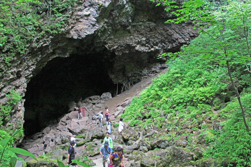 火山口地下森林