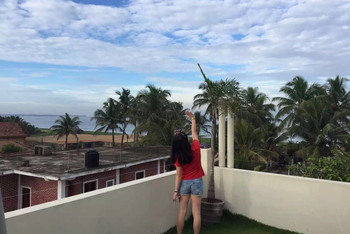 斯里兰卡,原来这才叫做一见钟情…【又是一个