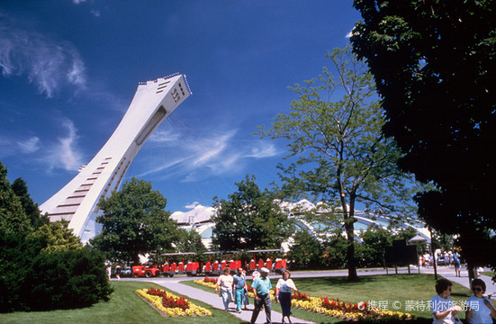 The Montreal Tower