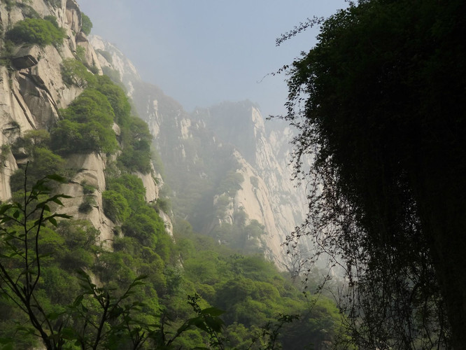 西北望长安,陌上无穷树