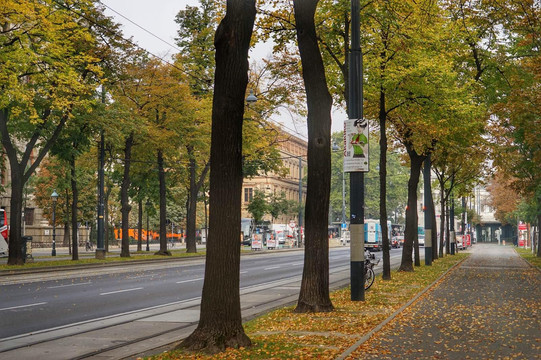 维也纳环城大道