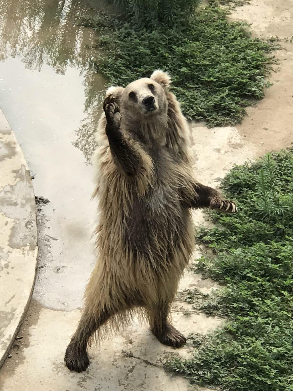 太原動物園