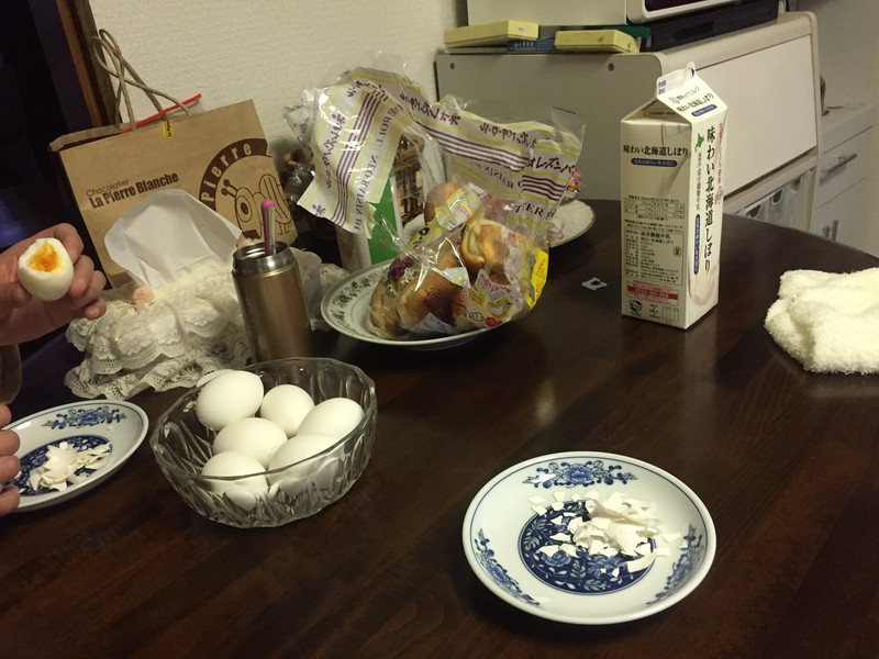 错过了熊本,京都,大阪,一定要来函馆---赏樱花