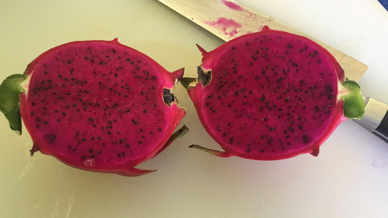 成都周边游,火龙果采摘记~