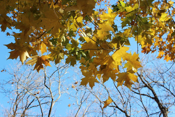 霾里偷晴去盘山 - 盘山游记攻略【携程攻略】